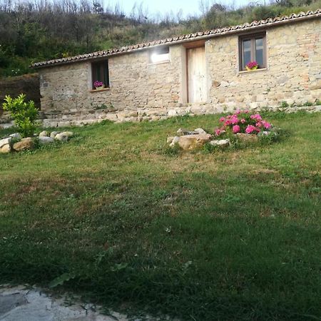 Il Cerro Agriturismo Zagarese Фускалдо Екстериор снимка