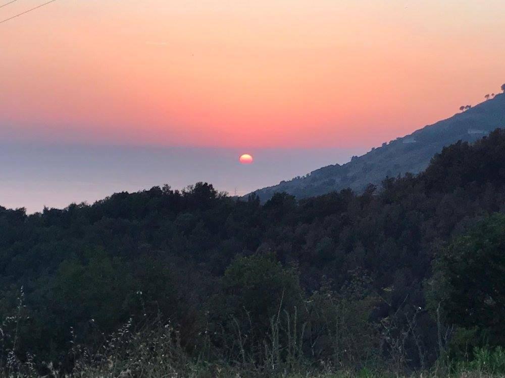 Il Cerro Agriturismo Zagarese Фускалдо Екстериор снимка