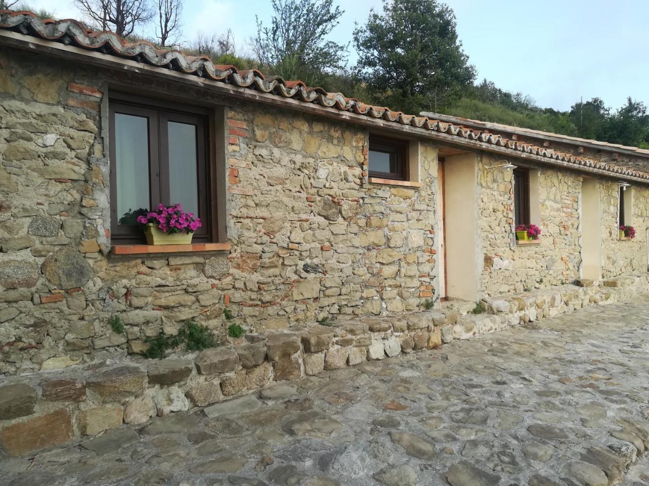 Il Cerro Agriturismo Zagarese Фускалдо Екстериор снимка