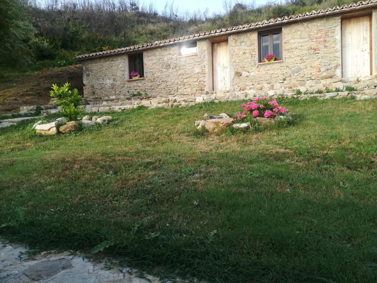 Il Cerro Agriturismo Zagarese Фускалдо Екстериор снимка