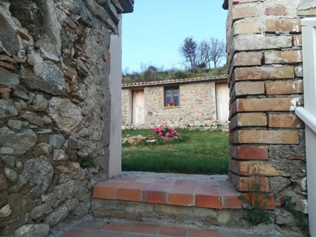 Il Cerro Agriturismo Zagarese Фускалдо Екстериор снимка